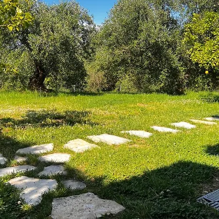 Sania * 카시오피